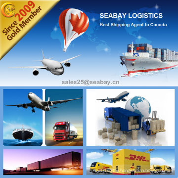 Air Freight/Container Shipping Transportation Service From China to USA